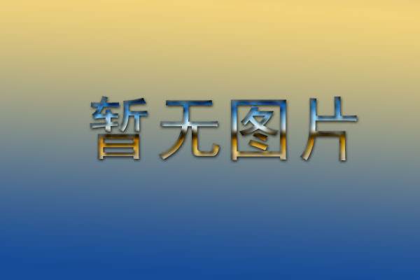 增强做好社会治理体制改革政治自觉 确保各项改革任务落到实处取得实效