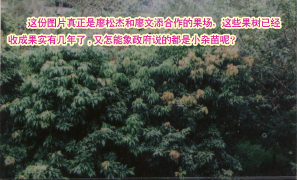 1523260151108147.jpg