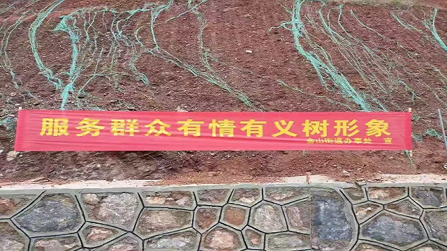 1543197896125596.jpg